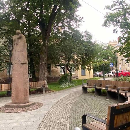Вірменська 14 Центр З Балконом Не Далеко Від Ж Д Вокзалу Звітні Документи Apartment Лвив Екстериор снимка